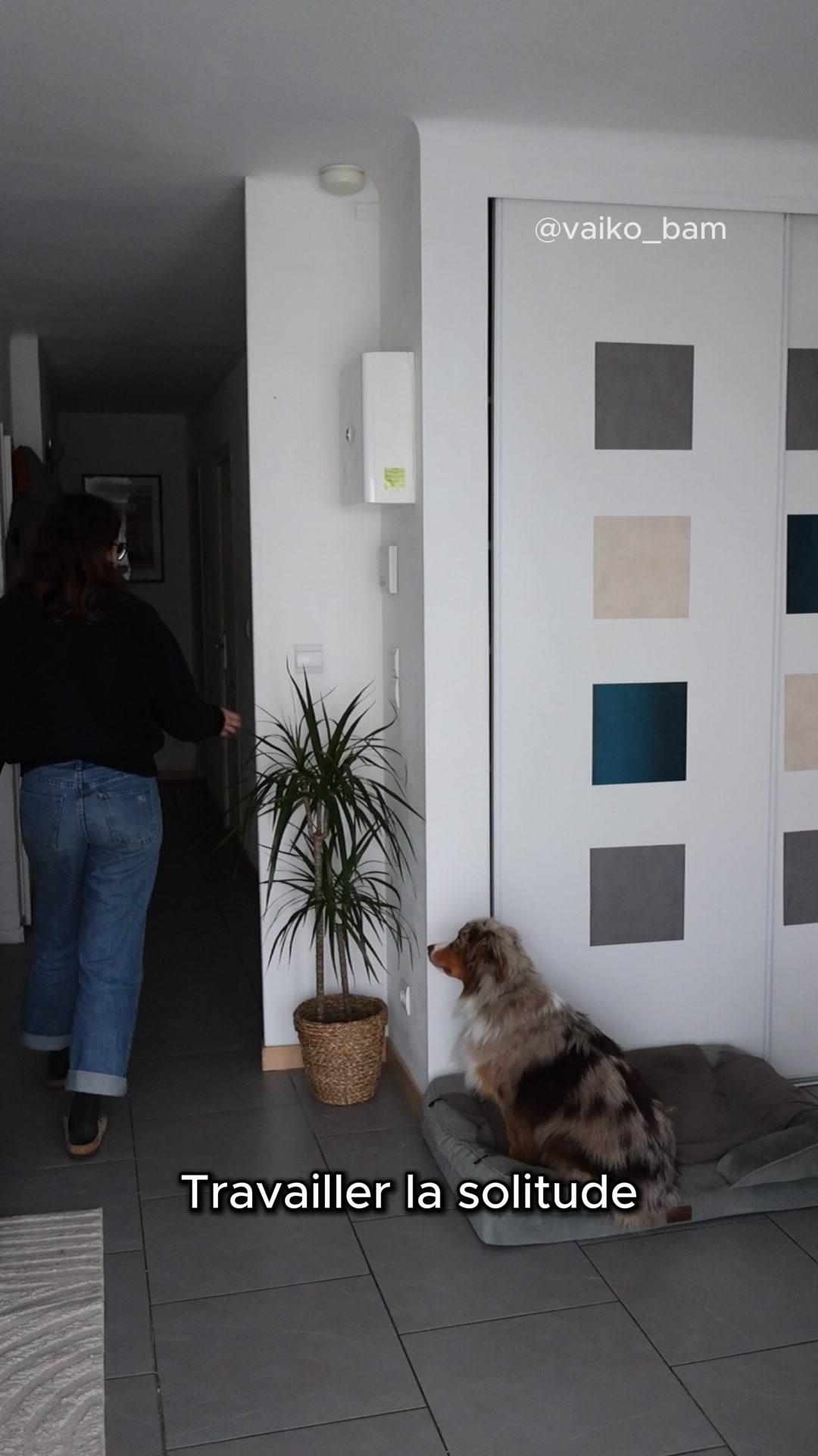 thumbnail-edgard-and-cooper-solitude-0