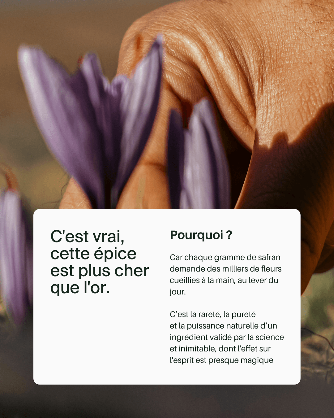 thumbnail-naali-awareness-0