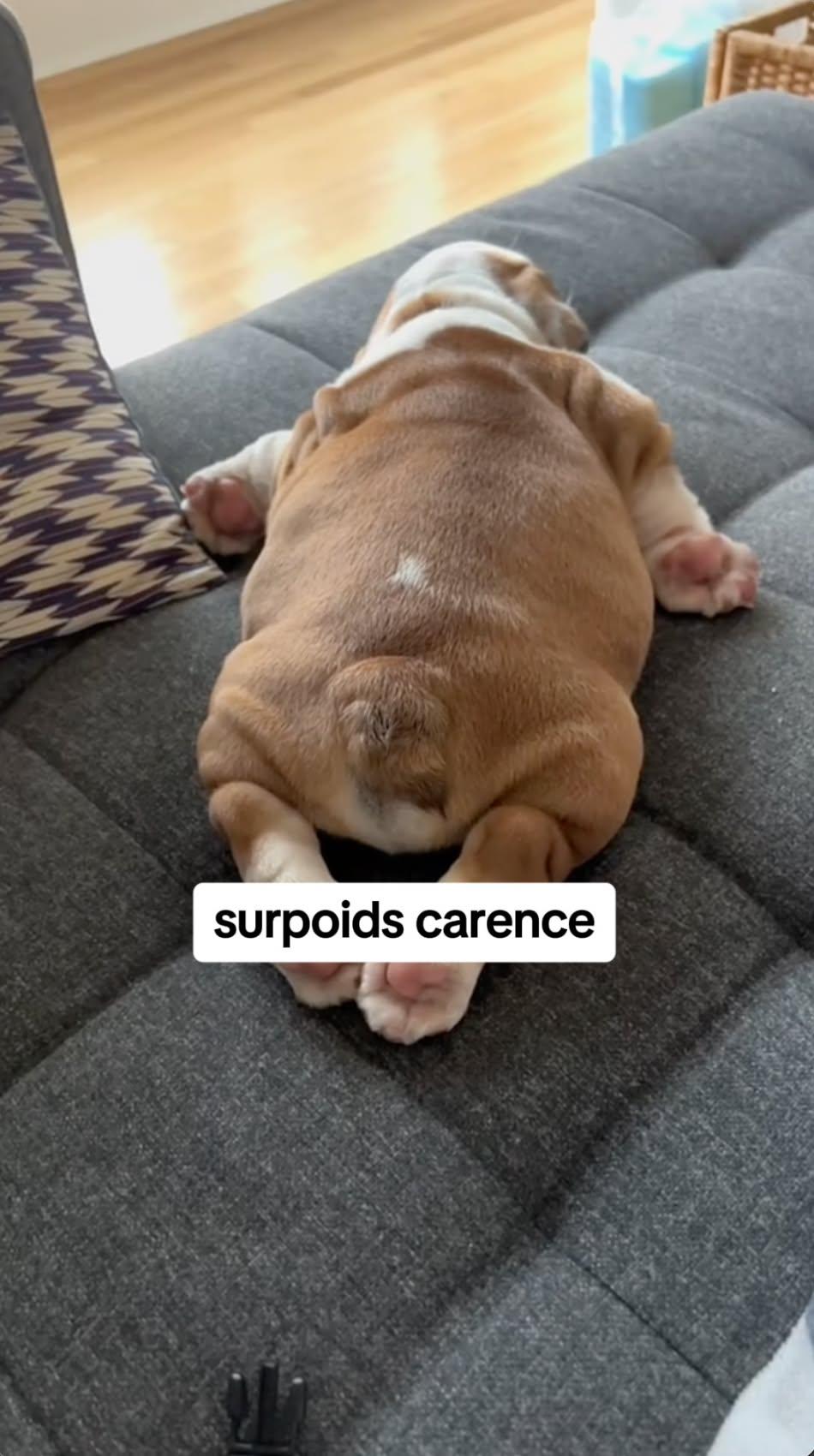 thumbnail-elmut-format-long-0