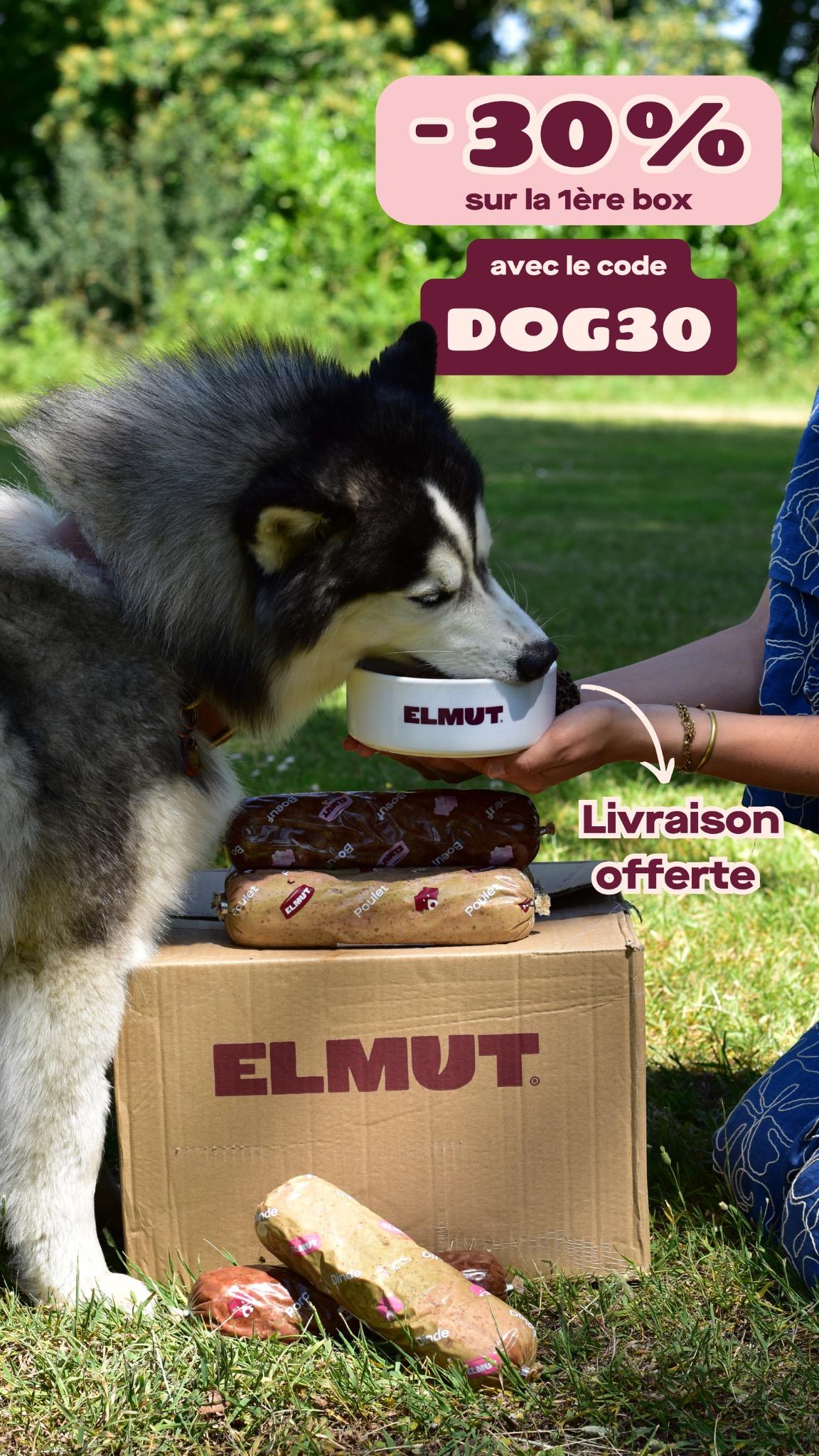 thumbnail-elmut-promo-30-0