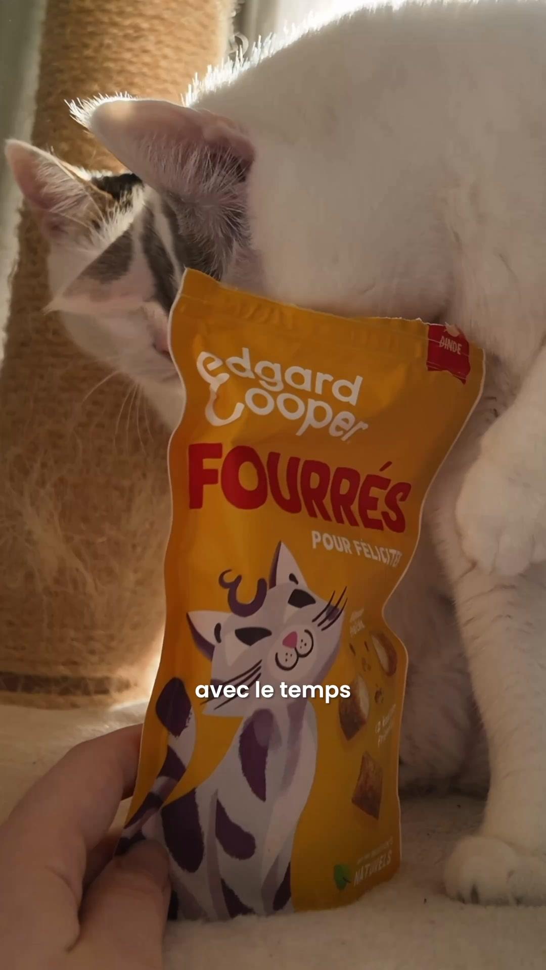 thumbnail-edgard-and-cooper-ugc-chats-0