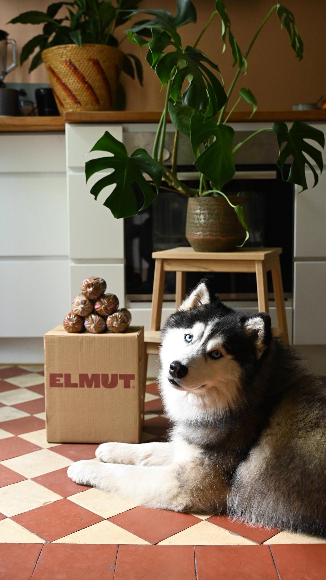 thumbnail-elmut-humour-0