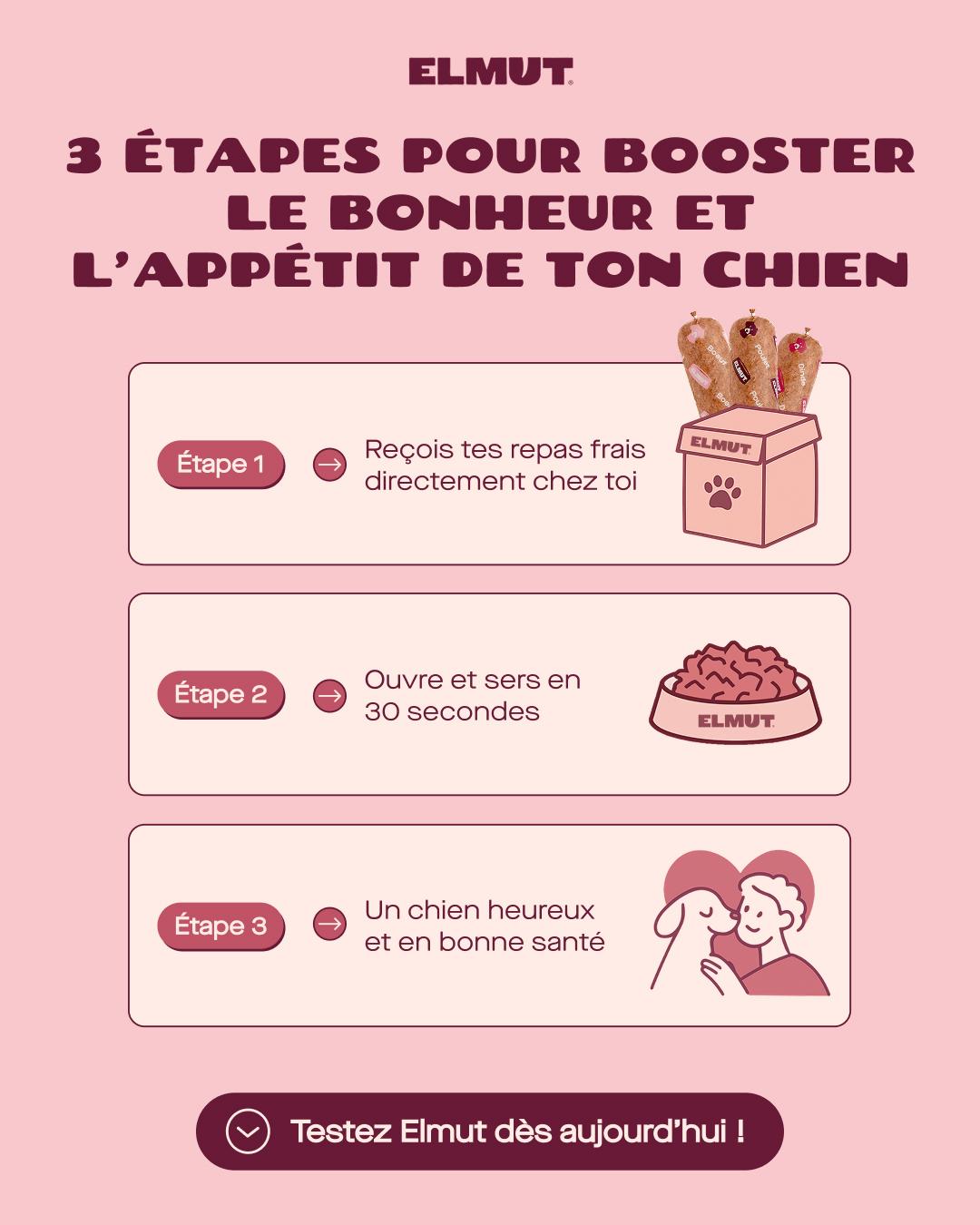 thumbnail-elmut-statique-steps-0