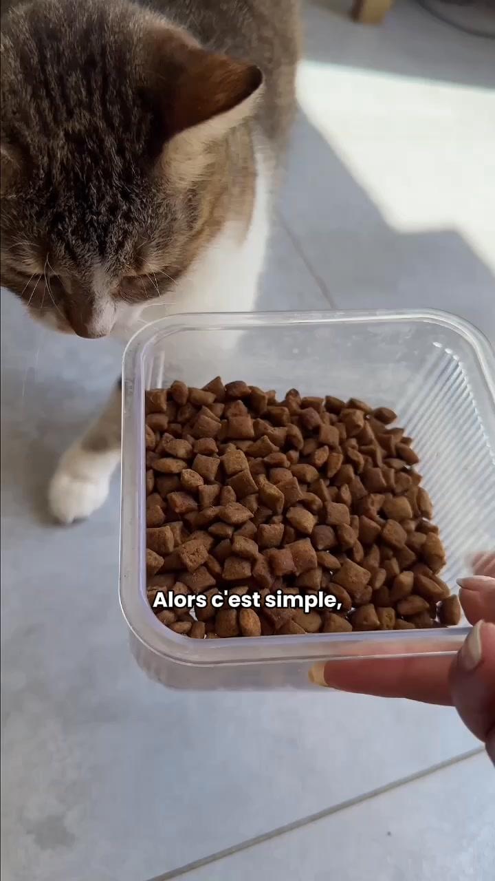 thumbnail-franklin-le-trio-parfait-0