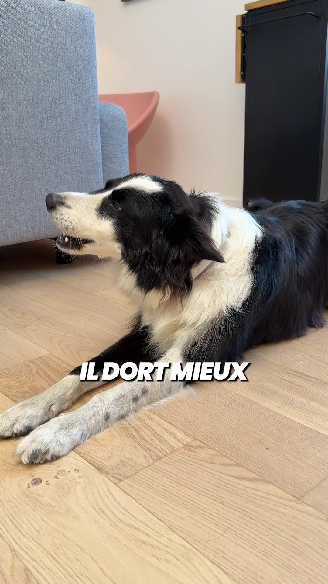 thumbnail-franklin-gummies-1-0