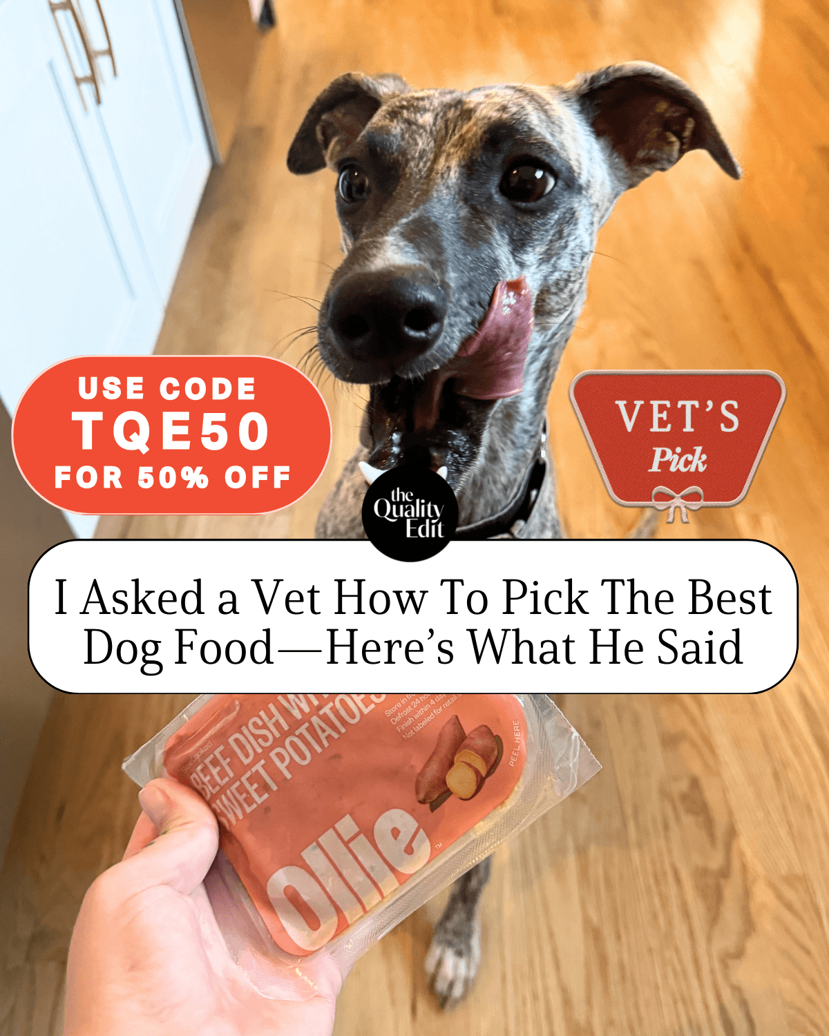 thumbnail-ollie-vet-s-pick-0