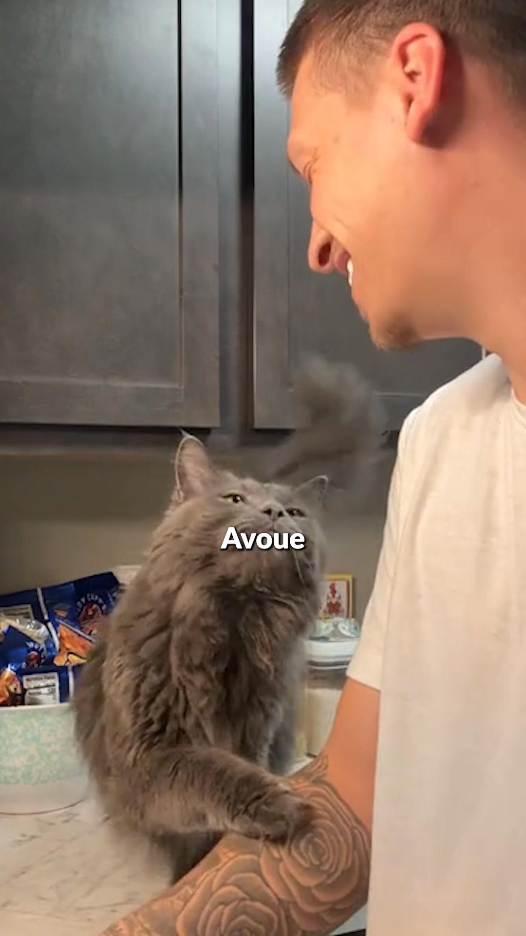 thumbnail-caats-quiz-cat-parent-0