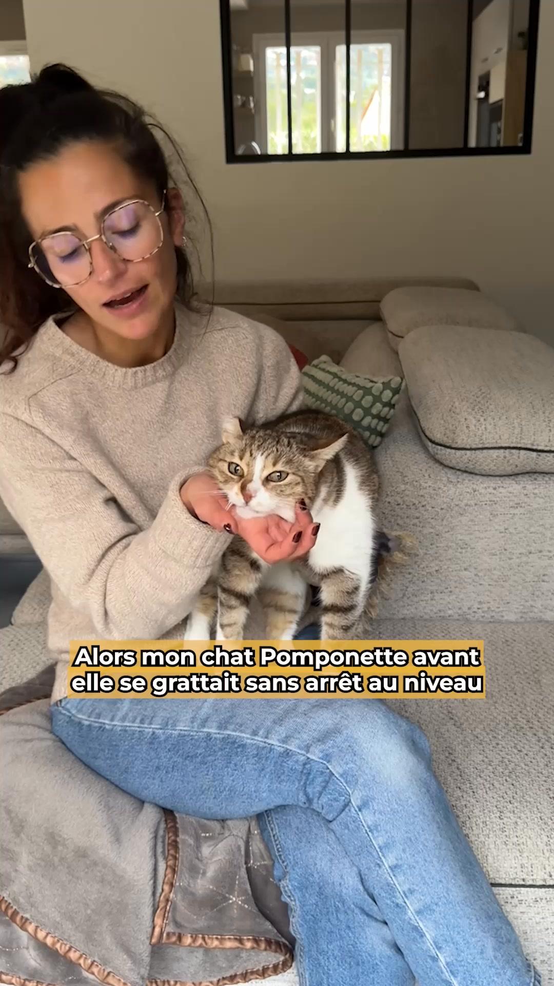 thumbnail-franklin-probleme-solution-ugc-0