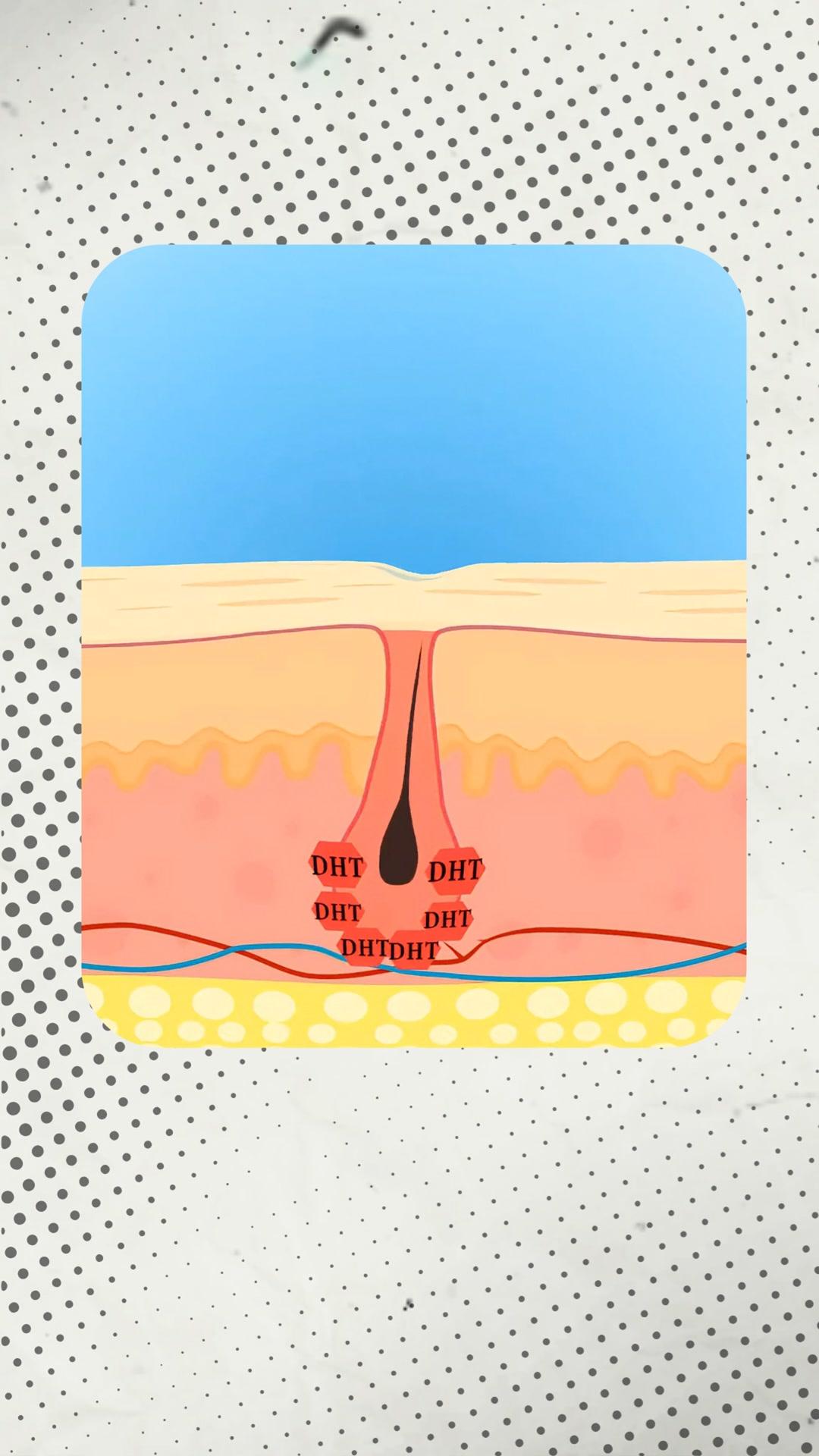 thumbnail-409b85eb-93b3-4390-82b5-76c673cf2614-0