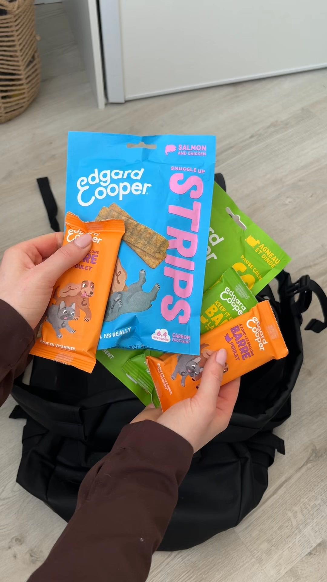 thumbnail-edgard-and-cooper-en-voyage-0