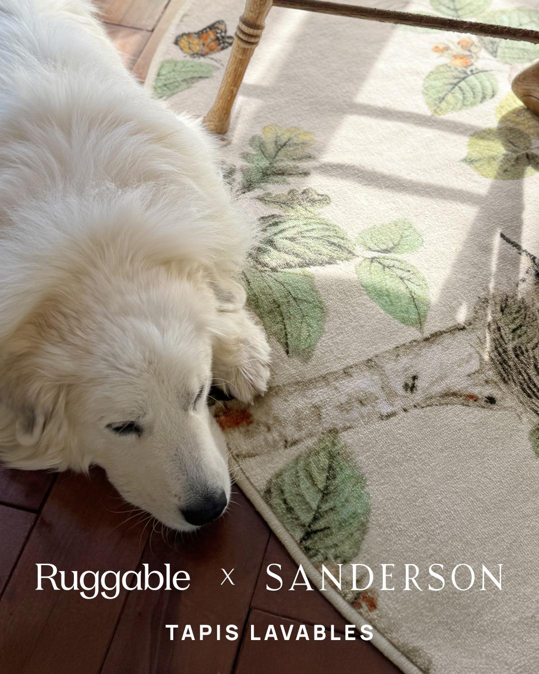 thumbnail-ruggable-tapis-lavables-0
