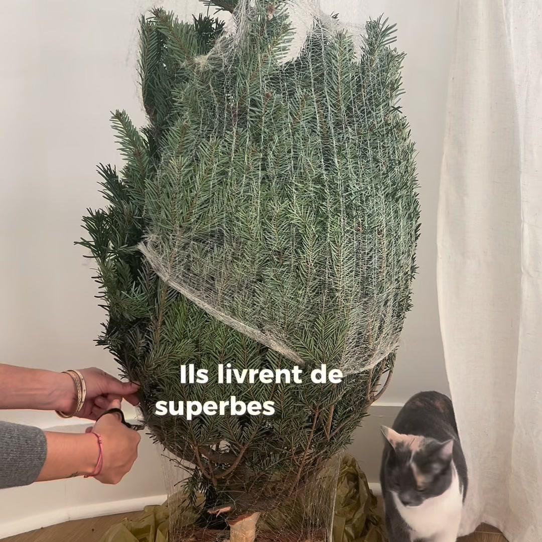 thumbnail-bergamotte-livre-chez-vous-sans-effort-0