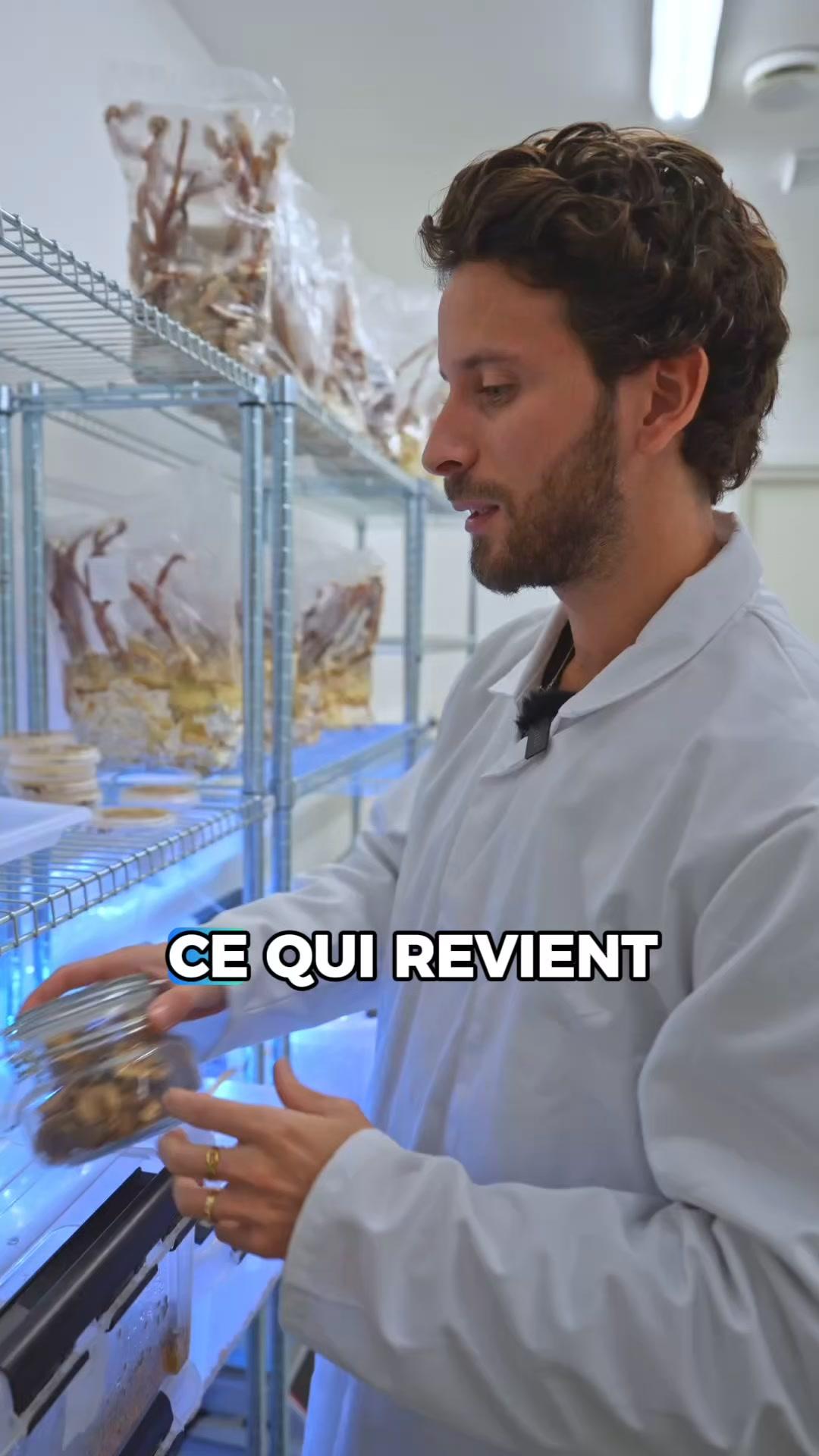 thumbnail-french-mush-lion-s-mane-0