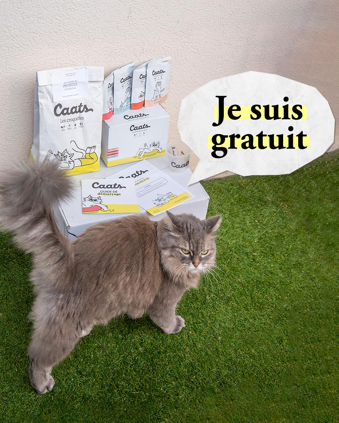 thumbnail-caats-70-000-chats-approuvent-caats-0