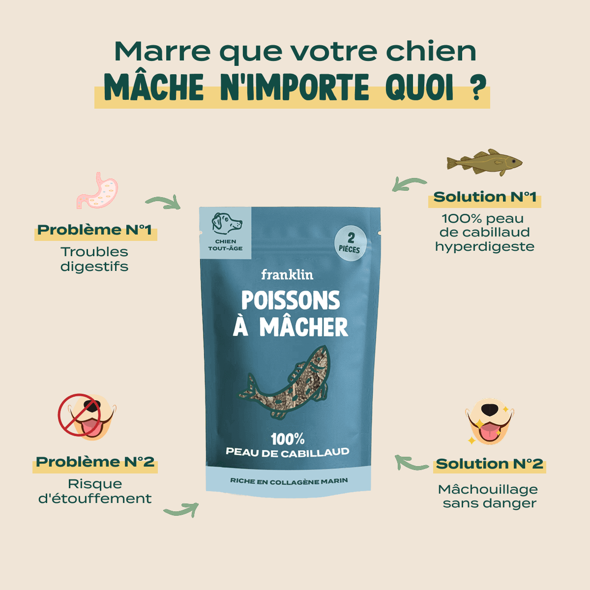thumbnail-franklin-nouvelles-friandises-dentaires-0