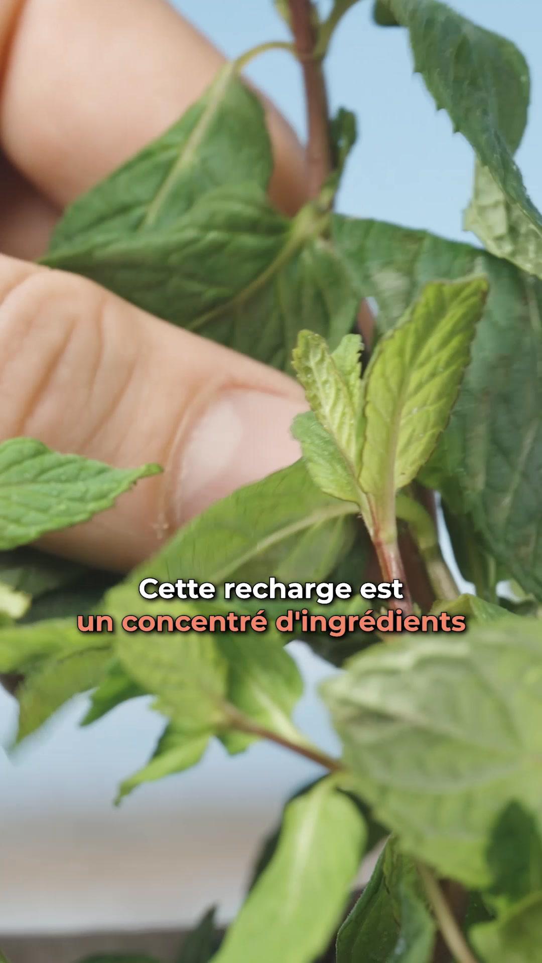 thumbnail-pimpant-video-all-in-one-0