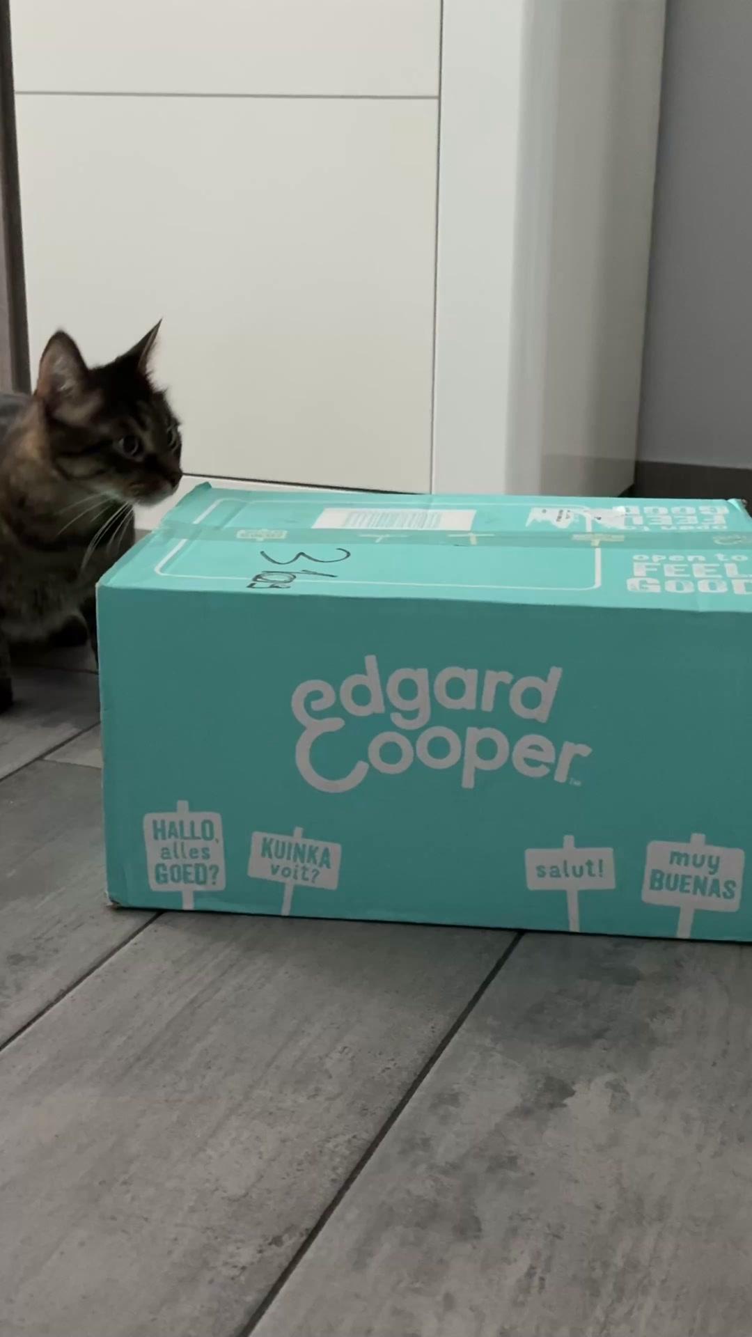 thumbnail-edgard-and-cooper-ugc-unboxing-0