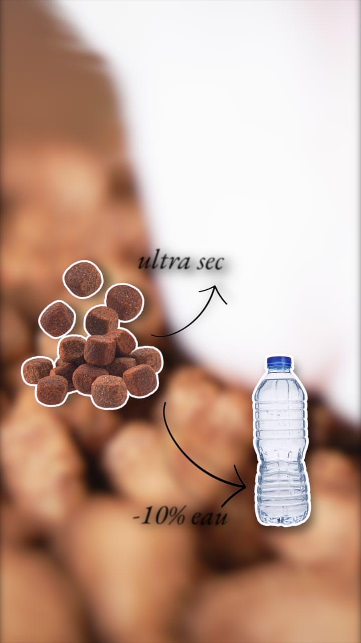 thumbnail-caats-satisfait-ou-rembourse-0