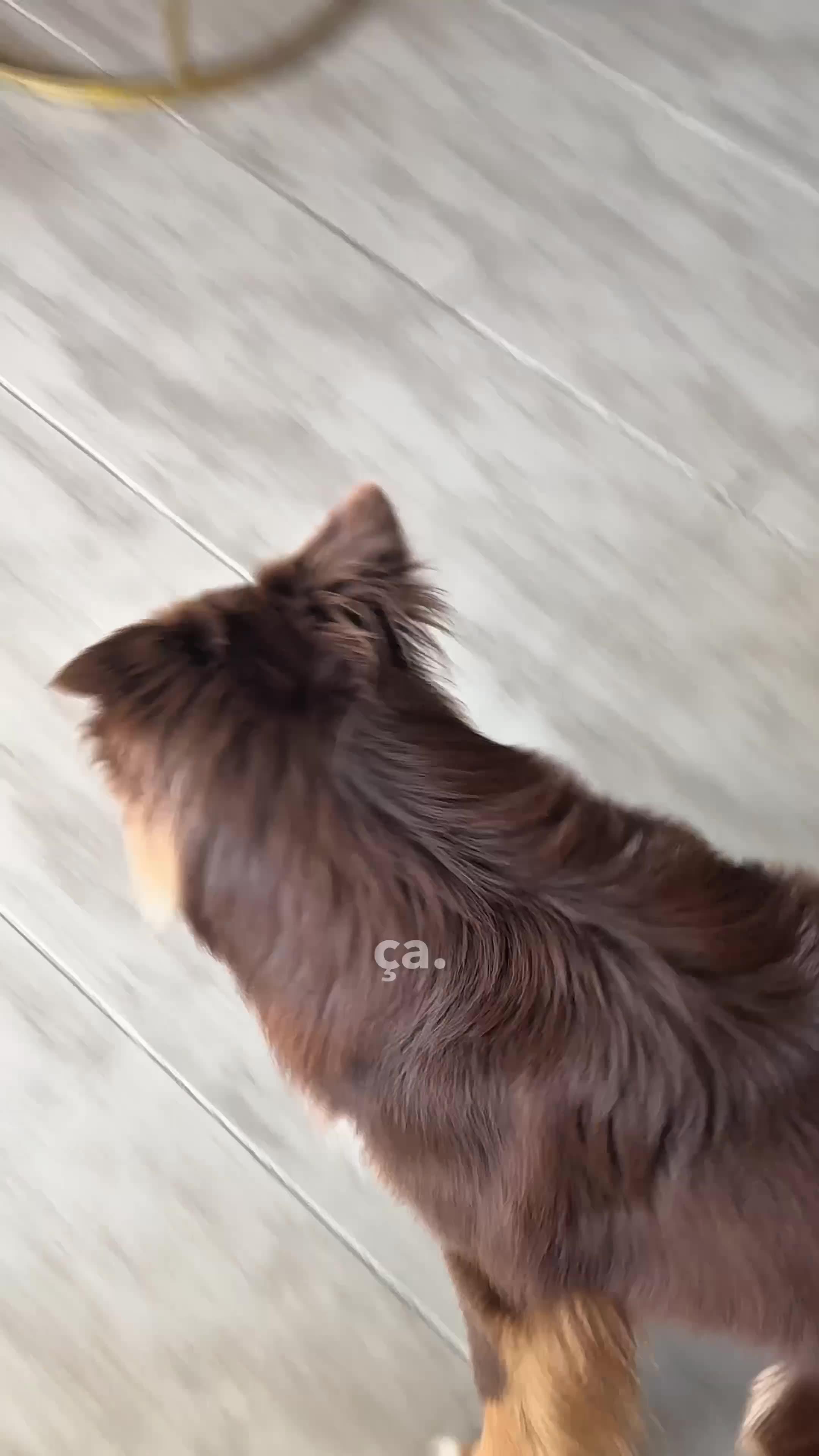 thumbnail-bandit-medailles-personnalisees-0