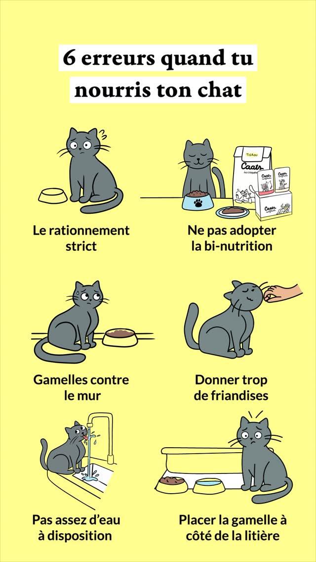 thumbnail-caats-6-erreurs-0