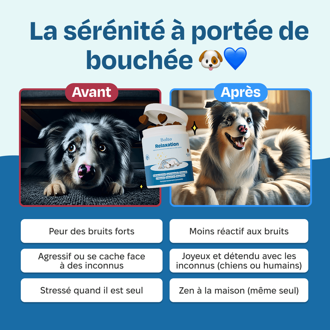 thumbnail-balto-statique-before-after-0